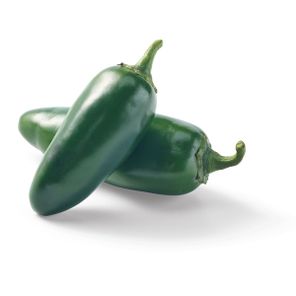 Jalapeno Pepper