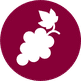 The Wine Shop logo